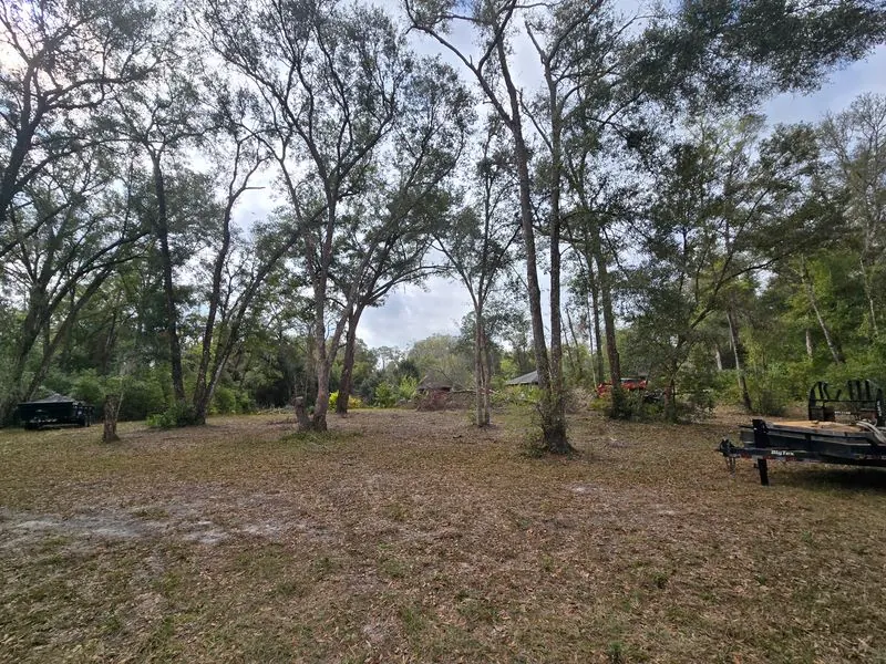 Land Clearing